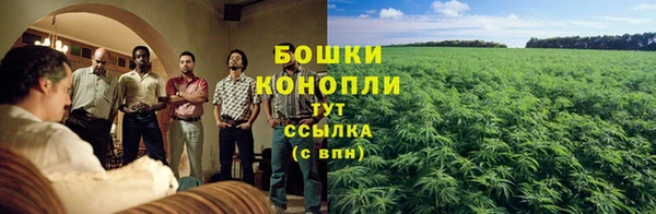 молекула духа Мегион