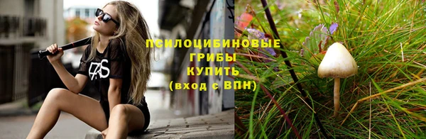 молекула духа Мегион