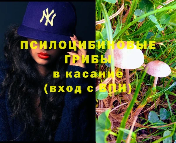а пвп мука Медногорск