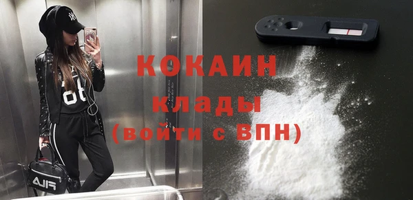 молекула духа Мегион